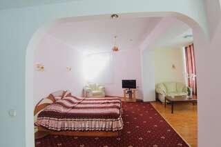 Отель Villa Arus Кишинёв Улучшенный двухместный номер с 1 кроватью-28